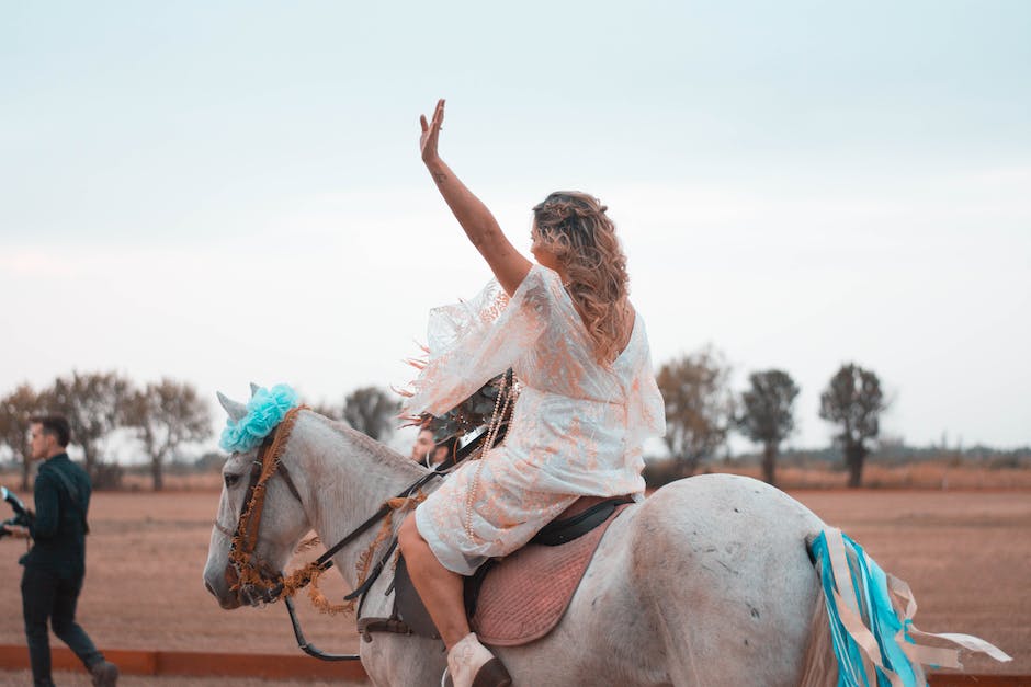 Beginner's guide to horse riding in the USA