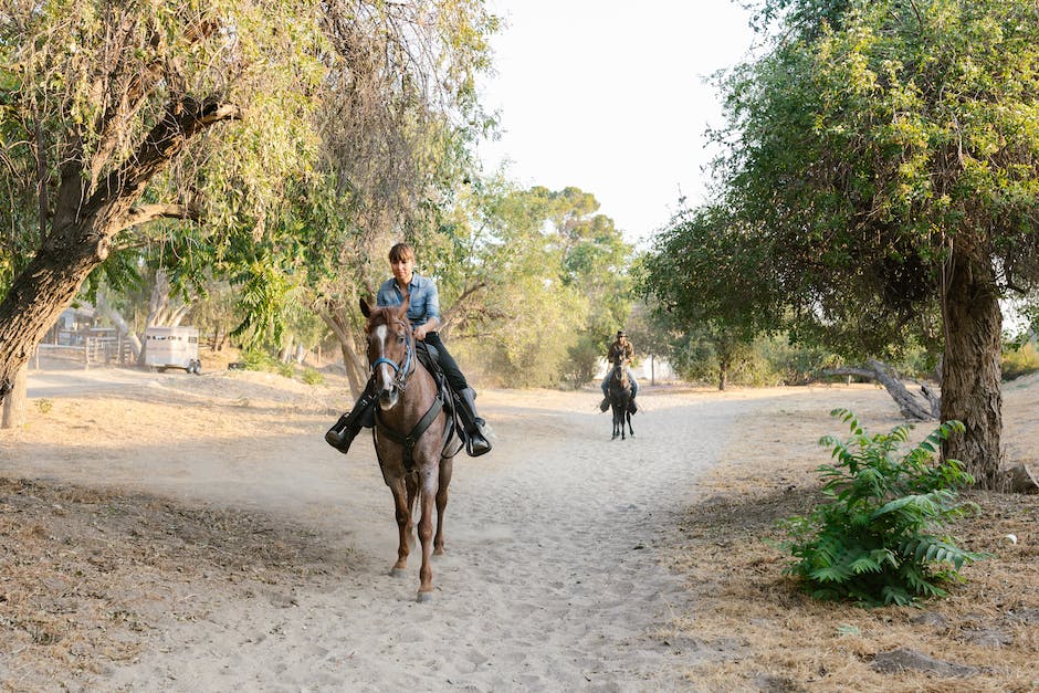 Best places for horseback riding in the USA