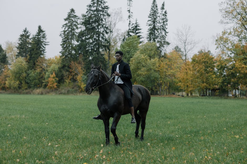 born poly riding boot black