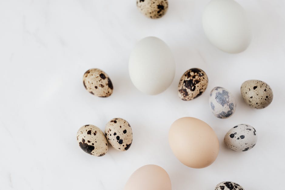 chicken egg shell color chart