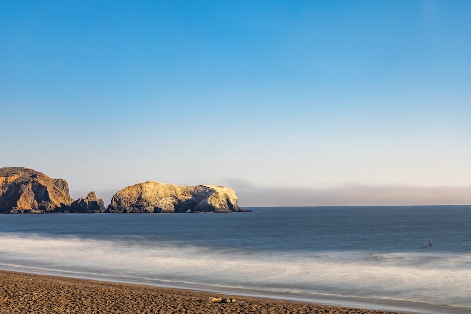 Dog-friendly beaches in California