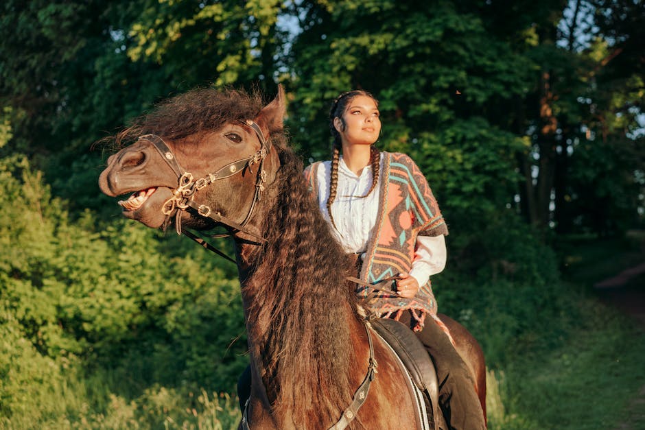 Horse art: Exploring the world of equine art
