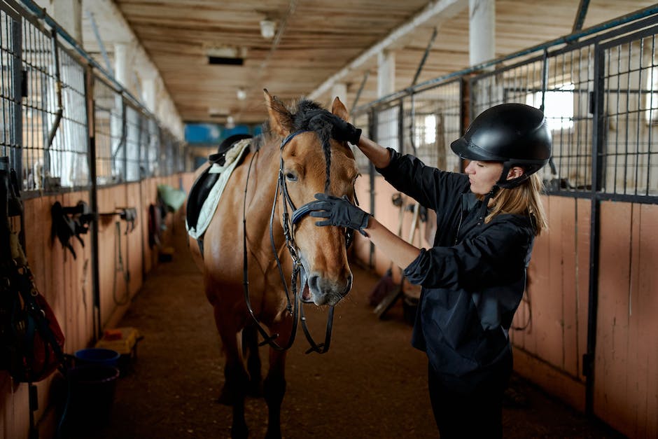 Horse art: Exploring the world of equine art