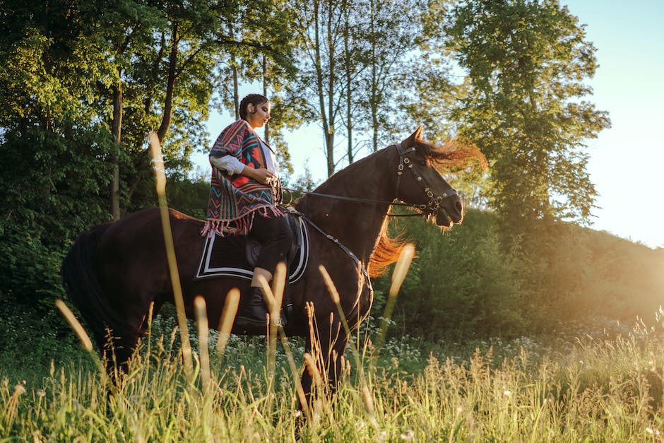 Horse art: Exploring the world of equine art