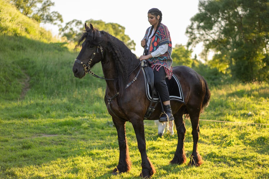 How to choose the perfect horse saddle for your horse