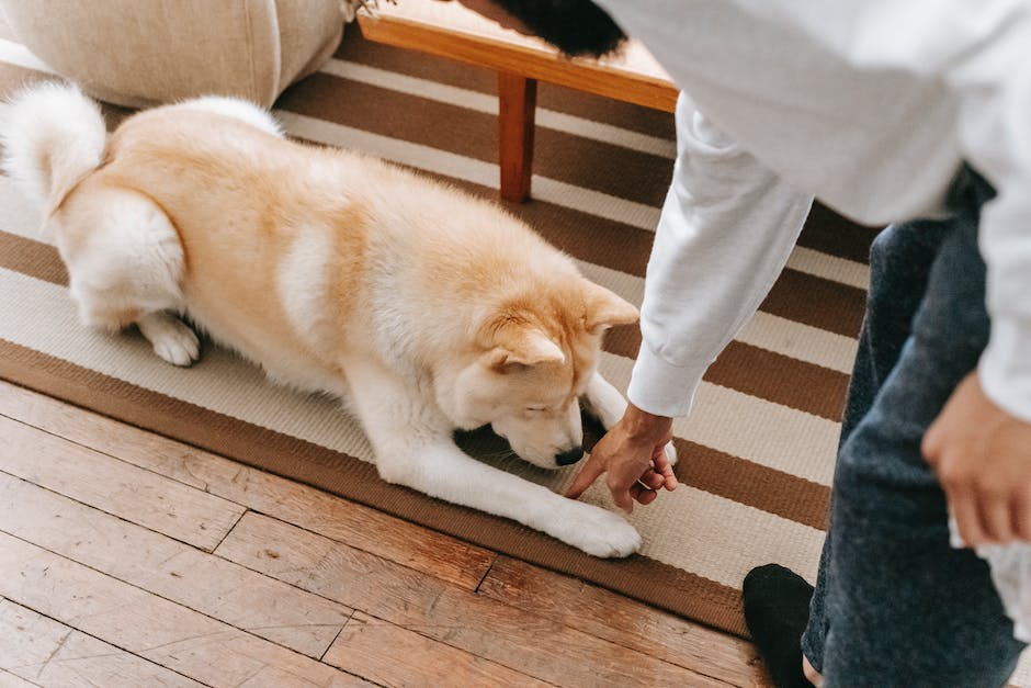 how to get ice cream out of carpet