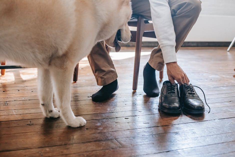 how to stop shoe heels from wearing down