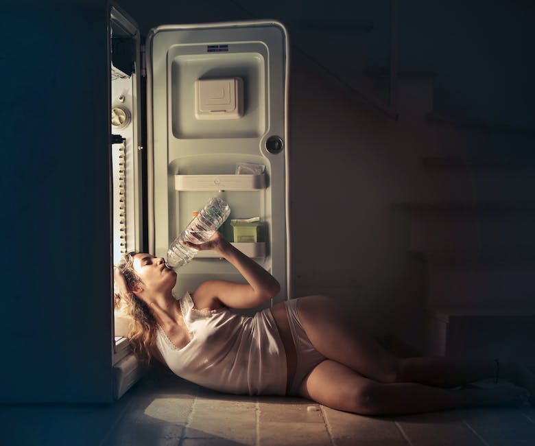 kenmore elite refrigerator stopped cooling