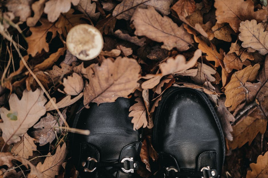 Maine Hunting Shoe Vs Bean Boot Homey Gears