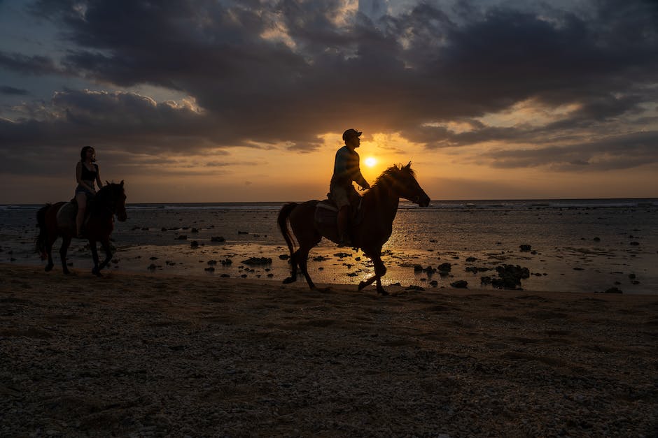 Planning the perfect horseback vacation