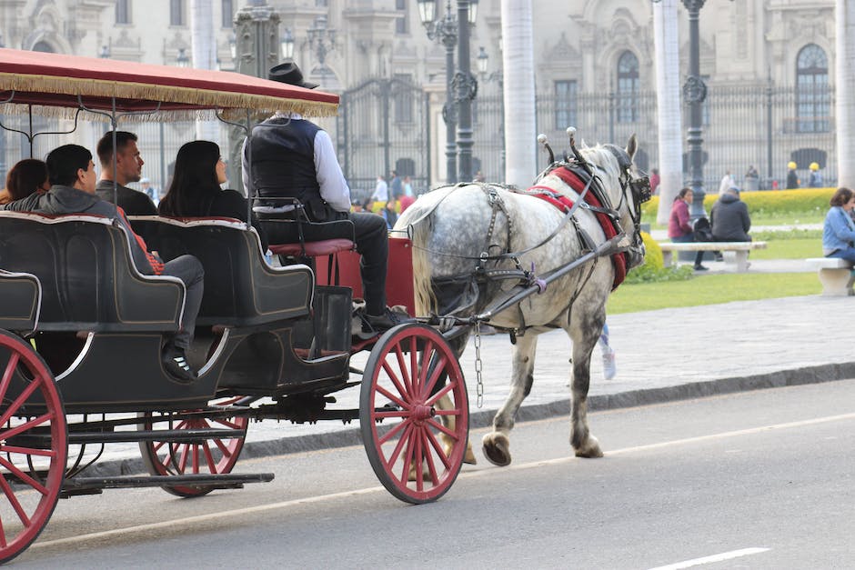 Taking a guided horse carriage tour: What to expect