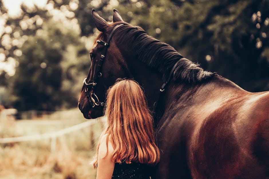 The beauty of horse jewelry: A guide for horse lovers