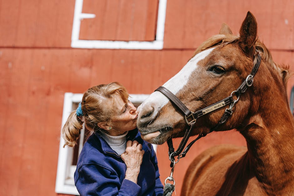 The beauty of horse jewelry: A guide for horse lovers