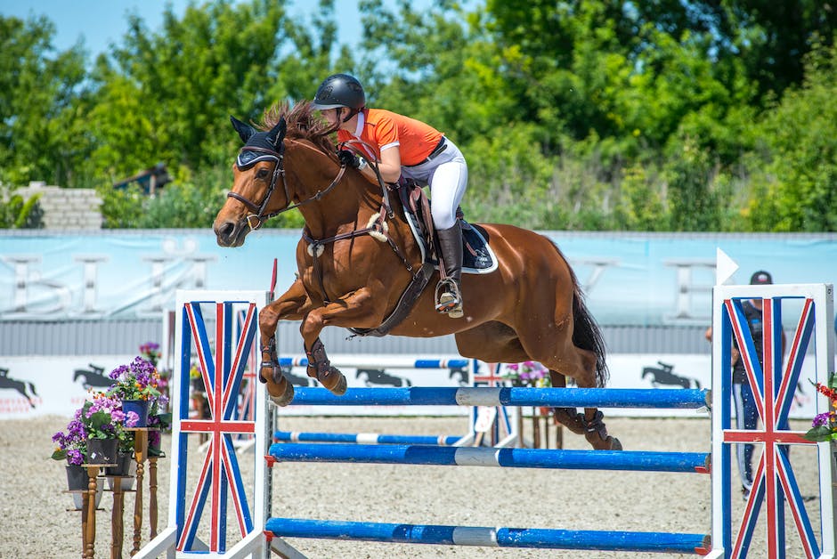 Tips for horse jumping: How to jump your horse safely