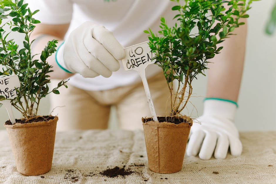 what are the white balls in potting soil