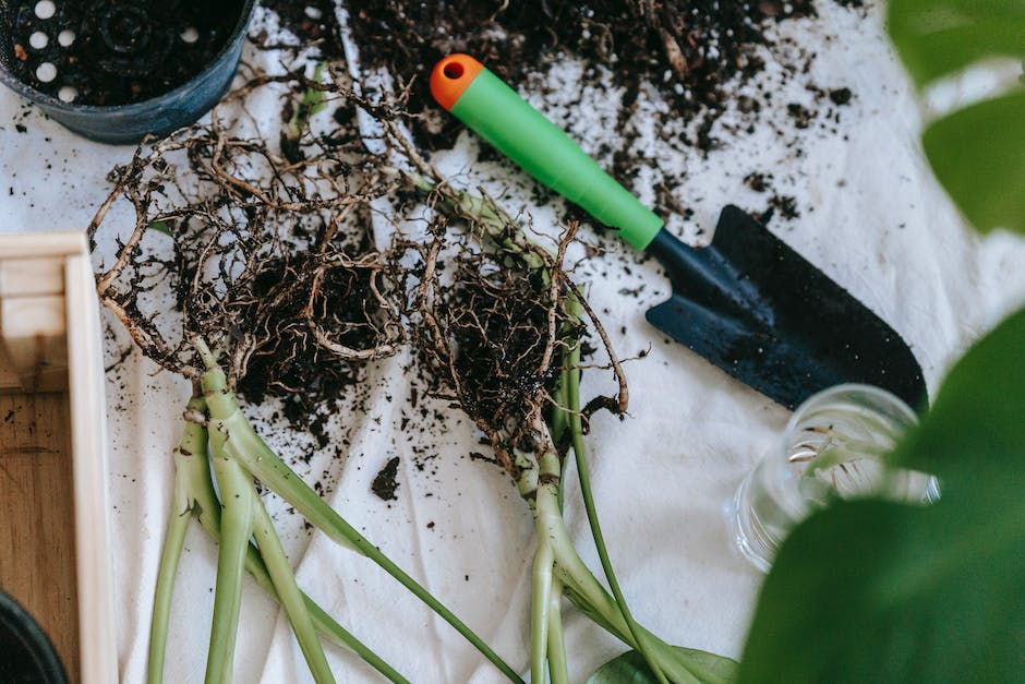 what are the white balls in potting soil