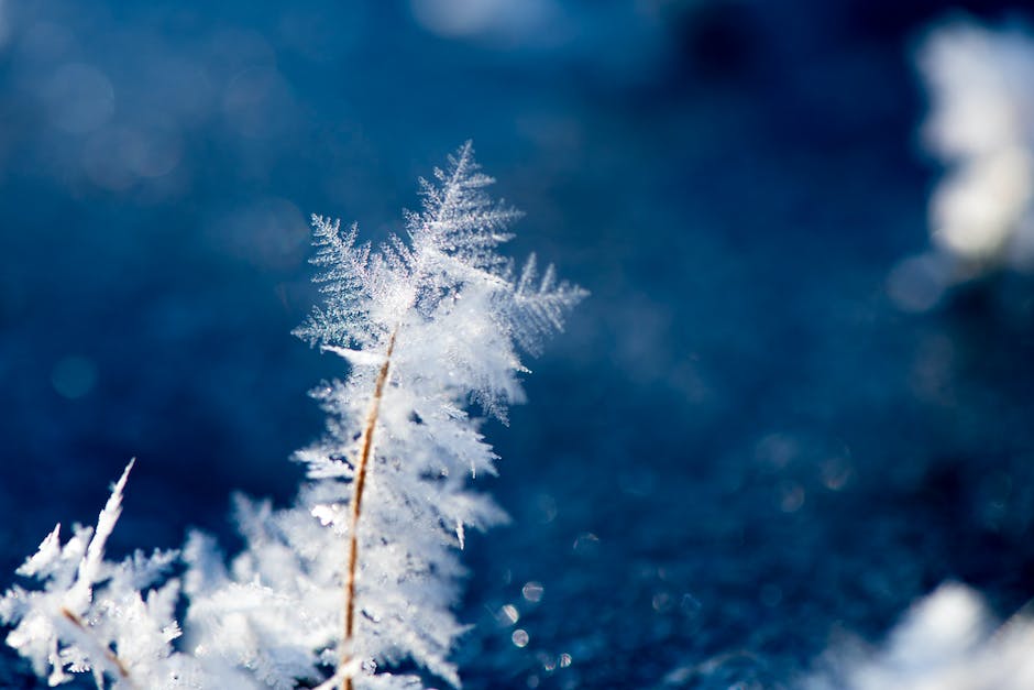 what is the weather in israel in december