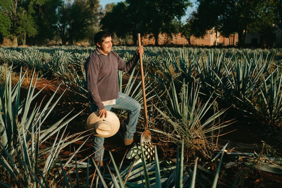 What Proof Is 1800 Tequila Homey Gears