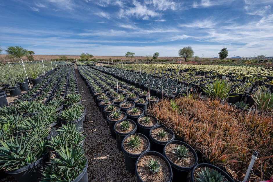 what state has the best soil for farming