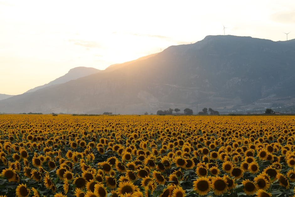 what state has the best soil for farming